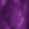 Colorful Laces - Light Purple